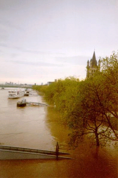 Hochwasser 1998 - Blick von der Hohenzollernbrcke. Lomographiert von t. plum